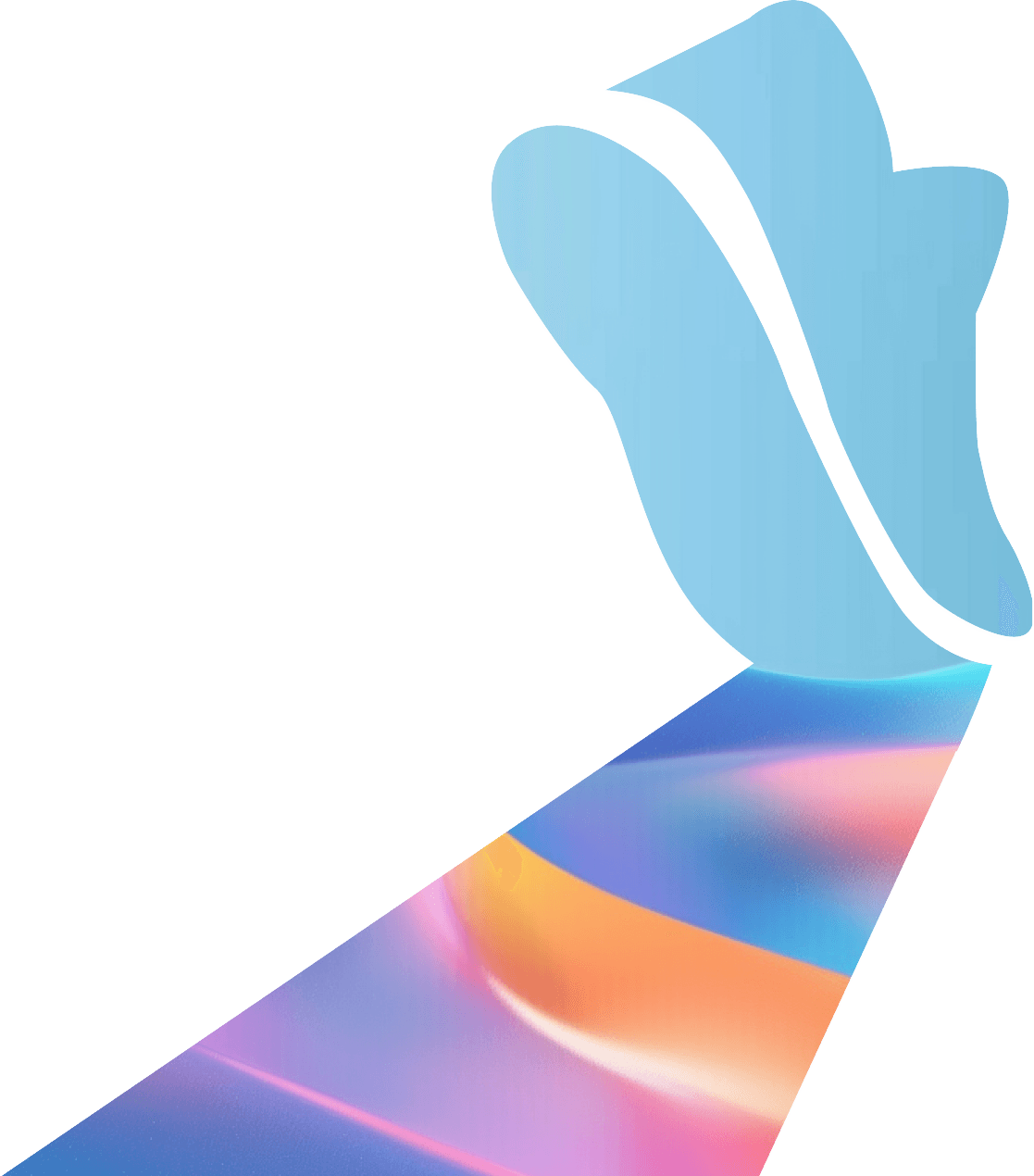 Shadow Sneaker Image